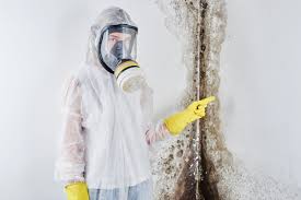 Mold Remediation for Vacation Homes in South Lancaster, MA